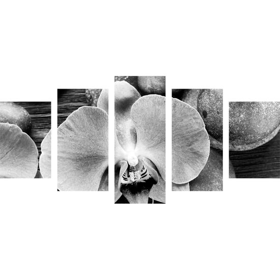 5-dielny obraz orchidea a Zen kamene na drevenom pozadí v čiernobielom prevedení
