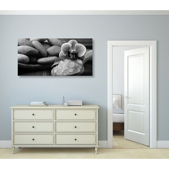 Obraz wellness zátišie s morskou soľou v čiernobielom prevedení