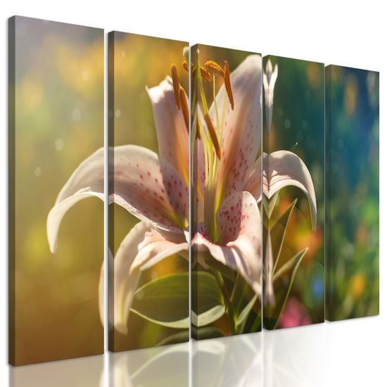 5-dielny obraz kvitnúci kvet