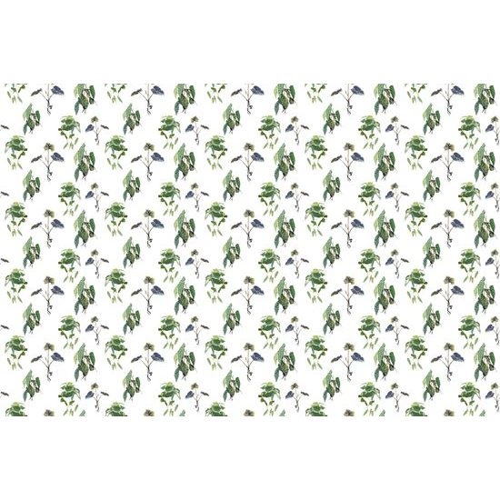 Tapeta pôvabné tropické rastliny