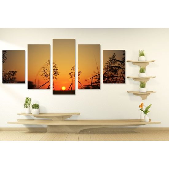 5-dielny obraz západ slnka za steblami trávy