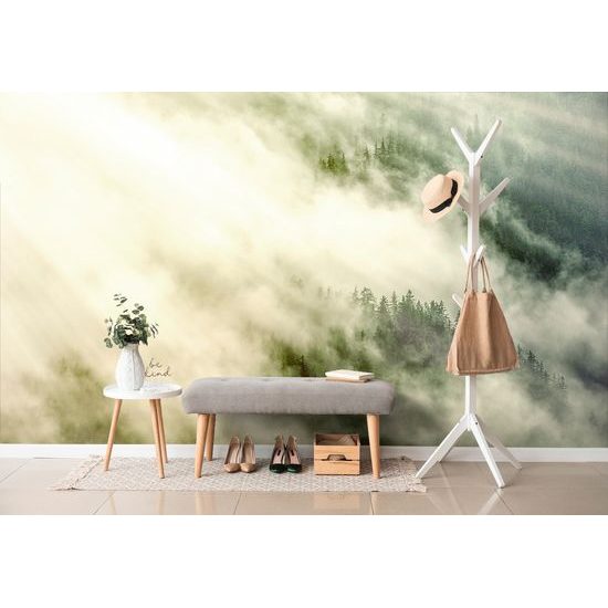 Samolepiaca fototapeta les zahalený do hmly