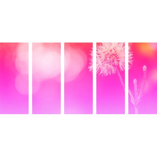 5-dielny obraz púpava v ružovo bielych farbách