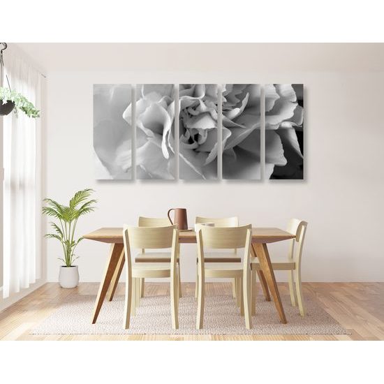 5-dielny obraz detail na kvet karafiátu v čiernobielom prevedení