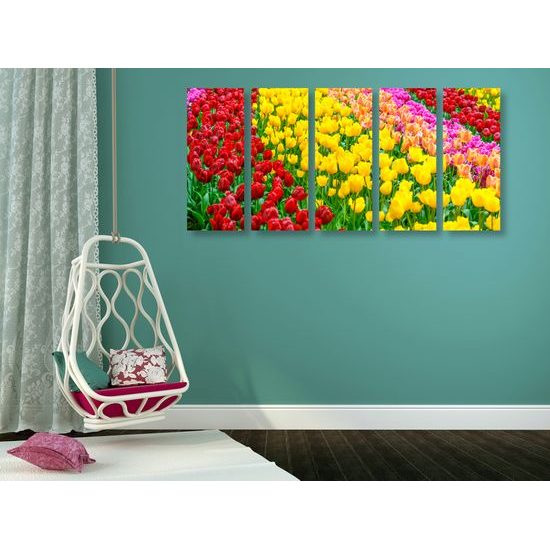 5-dielny obraz tulipánový sad