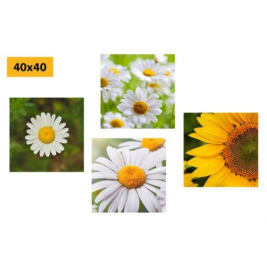 Set obrazov jarné kvety