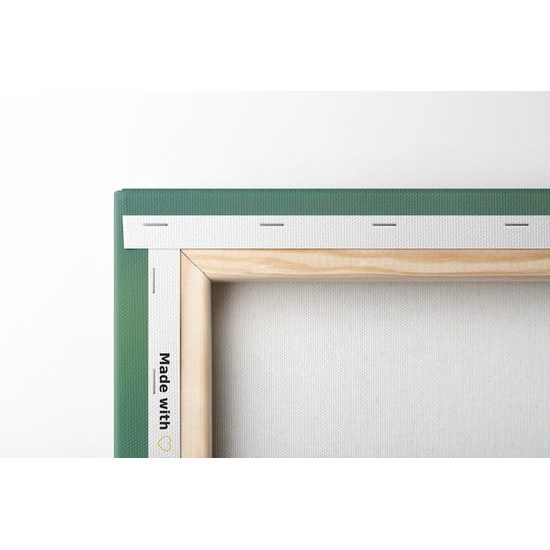 Obraz osamelý vlčí mak na lúke