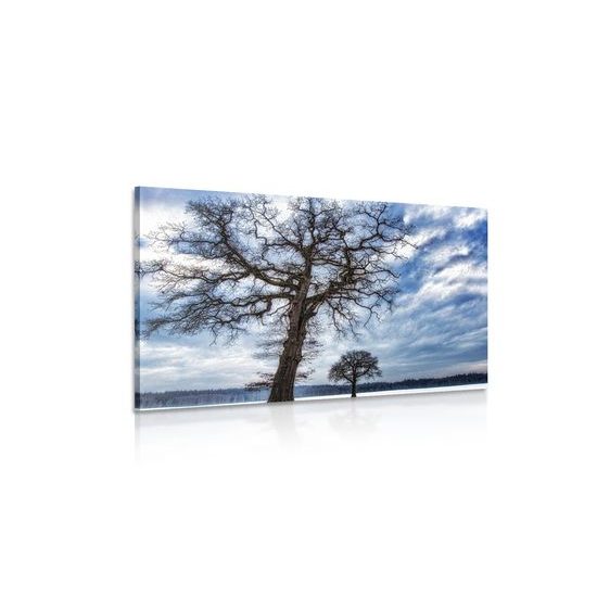 Obraz krajina zapadnutá snehom