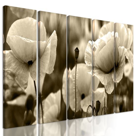 5-dielny obraz jedinečné divé maky v sépiovom prevedení