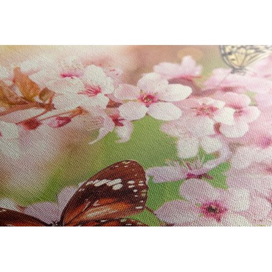 Obraz rozkvitnuté kvety s nádhernými motýľmi