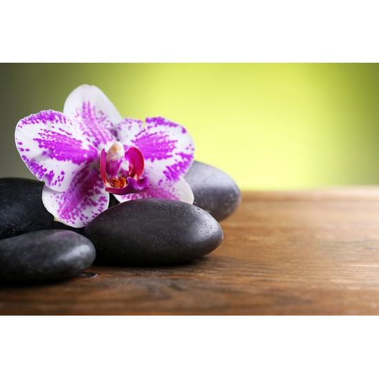 Fototapeta zen kamene s orchideou