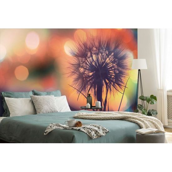 Samolepiaca tapeta púpava so žiarivým pozadím