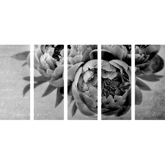 5-dielny obraz jemná pivonka v čiernobielom prevedení