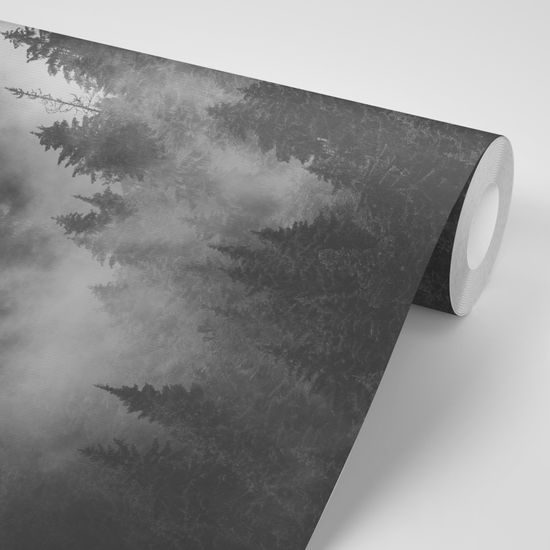 Samolepiaca fototapeta čiernobiele stromy zahalené do hmly