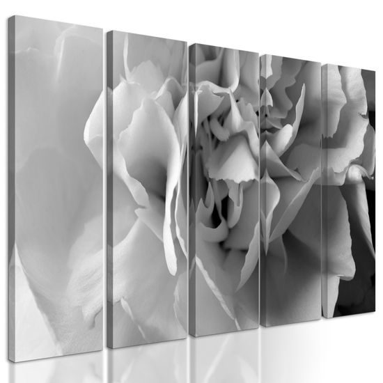 5-dielny obraz detail na kvet karafiátu v čiernobielom prevedení