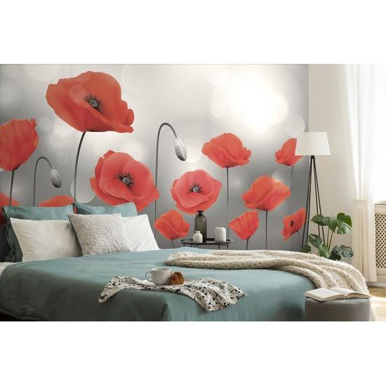 Samolepiaca tapeta červéné maky v rozkvete