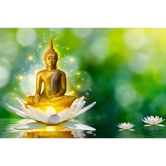 Samolepiaca tapeta Budha sediaci na lotosovom kvete