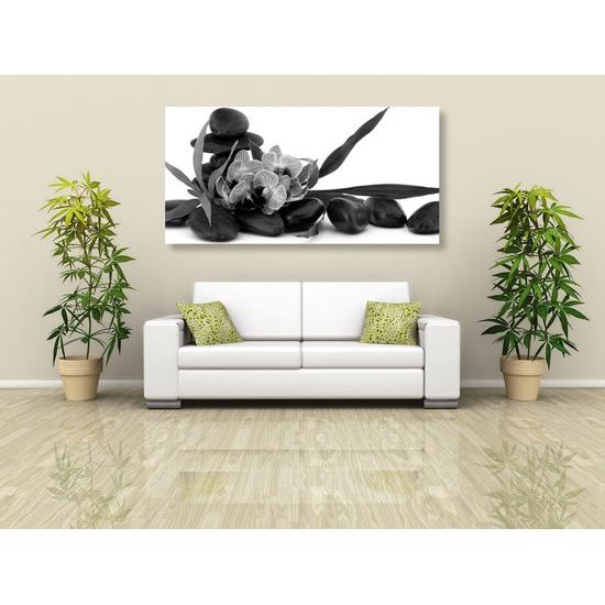 Obraz čiernobiely kvet orchidei v SPA zátiší