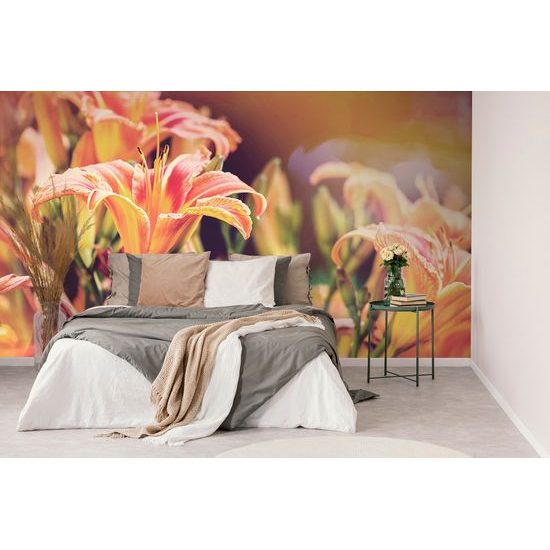 Nádherná samolepiaca fototapeta oranžové kvety