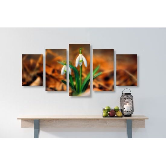 5-dielny obraz prvé snežienky