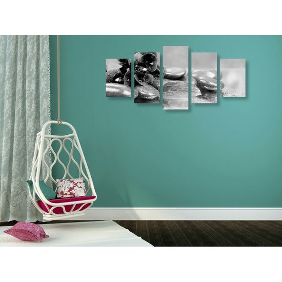 5-dielny obraz ukľudnujúca orchidea v čiernobielom prevedení