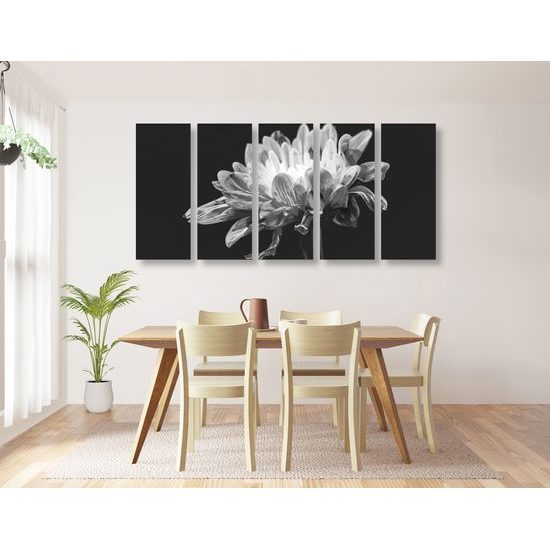 5-dielny obraz zaujímavá sedmokráska v čiernobielom prevedení