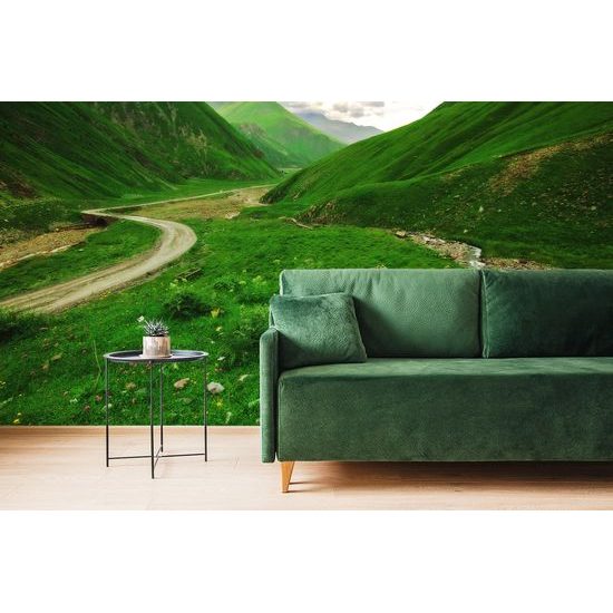 Samolepiaca fototapeta cesta uprostred zelených kopcov