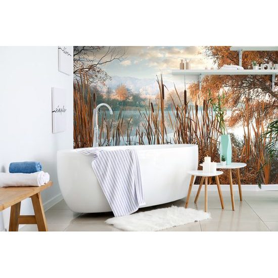 Samolepiaca fototapeta čaro ranného rybníka