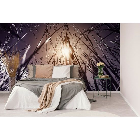 Samolepiaca fototapeta pohľad na slnko z poľnej trávy