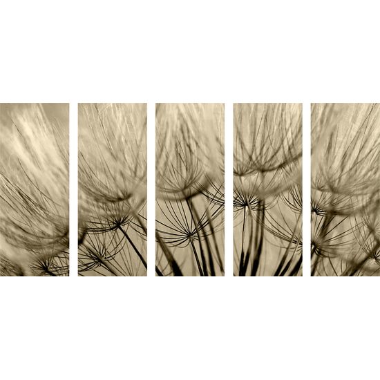 5-dielny obraz presný detail púpavy v sépiovom prevedení