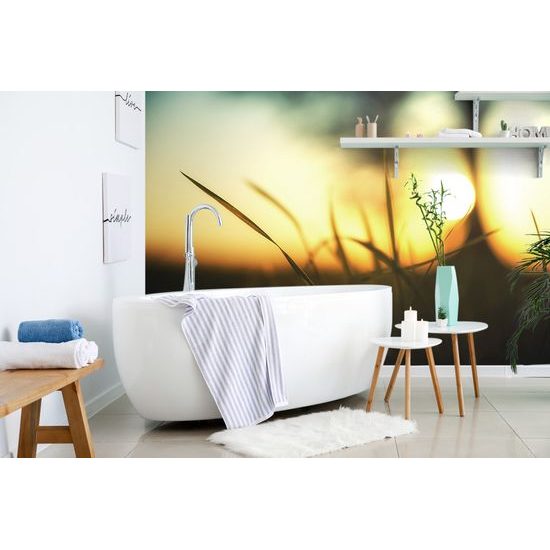 Samolepiaca fototapeta pohľad na západ slnka z trávy