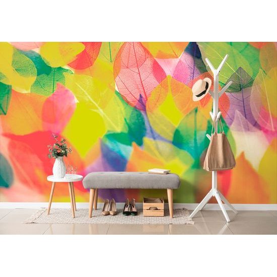 Tapeta detailné pestrofarebné listy
