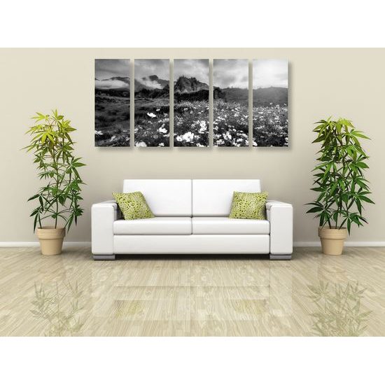 5-dielny obraz rozkvitnutá lúka v čiernobielom prevedení