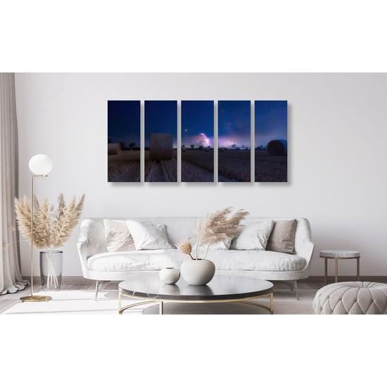 5-dielny obraz lúka a pohľad na hivezdy