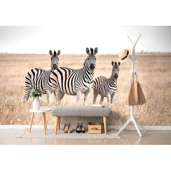 Samolepiaca fototapeta zebria rodinka