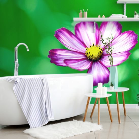 Samolepiaca fototapeta osamotený kvet krasuľky