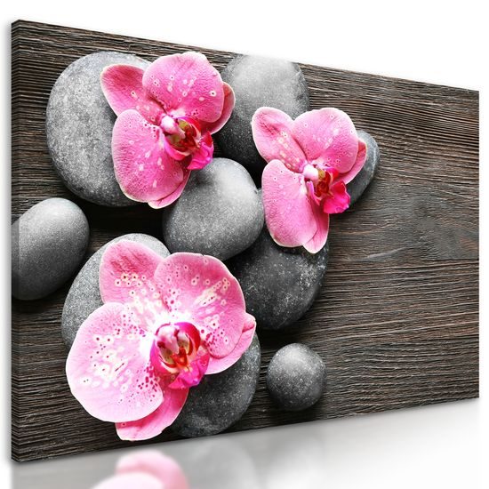 Obraz kvety orchidei na drevenom pozadí