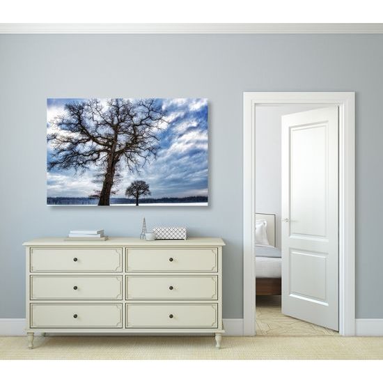 Obraz krajina zapadnutá snehom