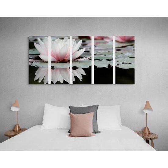 5-dielny obraz nádherné lekno