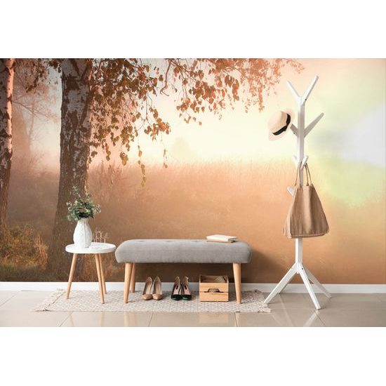 Samolepiaca fototapeta hmlisté ráno