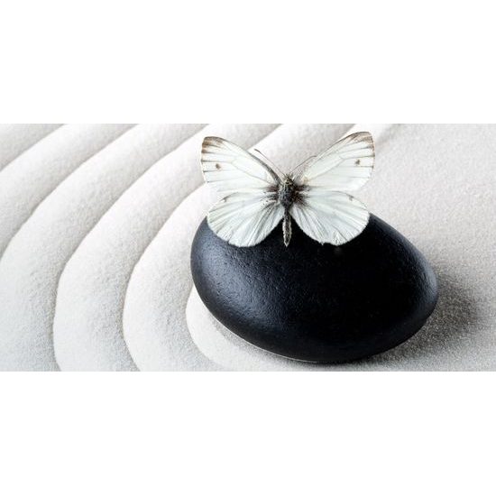 Obraz nádherný biely motýľ na Zen kameni
