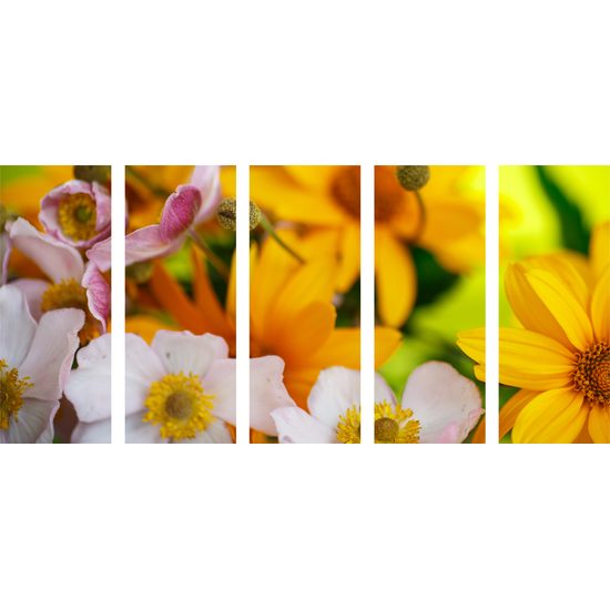 5-dielny obraz nádherné kvety v letných farbách