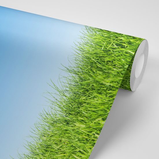 Samolepiaca tapeta tráva pod modrou oblohou