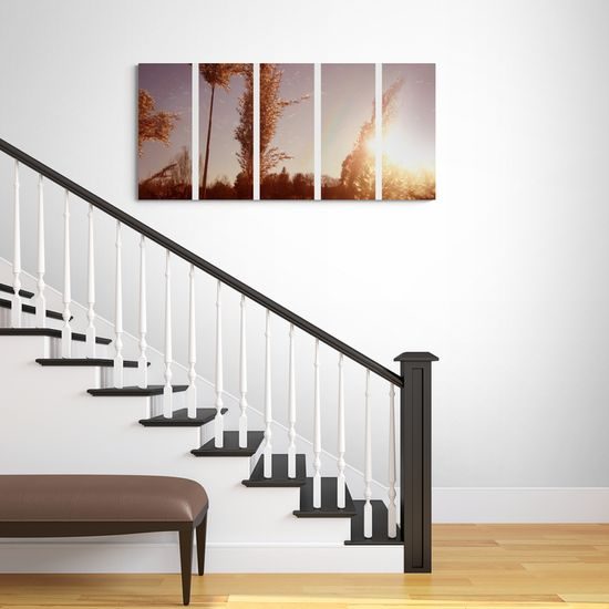 5-dielny obraz steblá trávy pri západe slnka