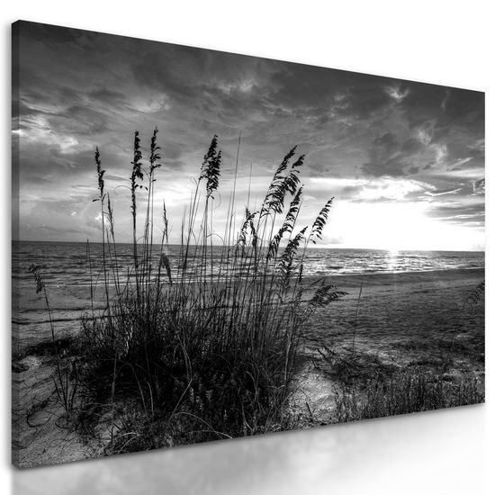 Obraz čiernobiely západ slnka z pláže