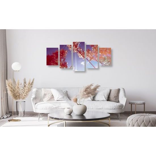 5-dielny obraz steblá trávy v lúčoch slnka