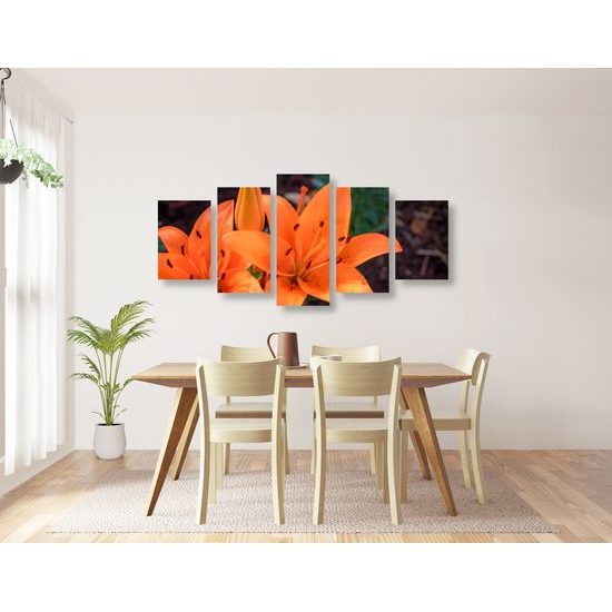 5-dielny obraz oranžová dália