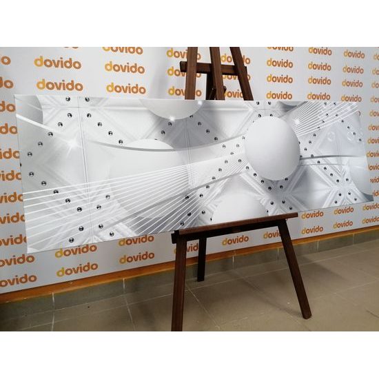 Obraz jemný luxus v čiernobielom prevedení