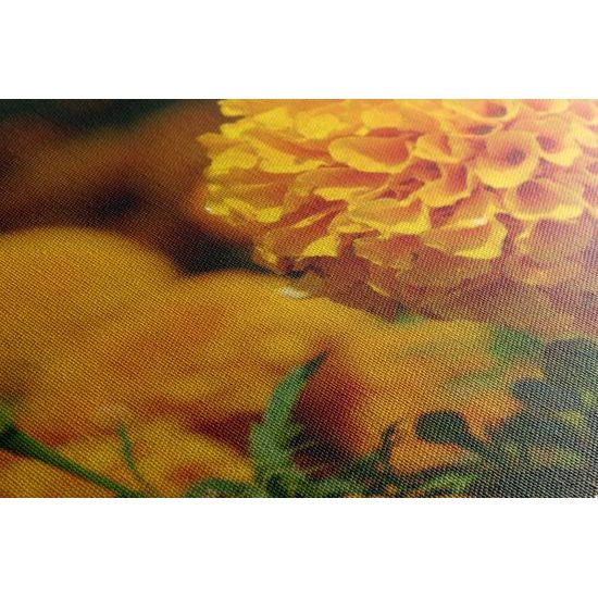 Obraz oranžový nechtík