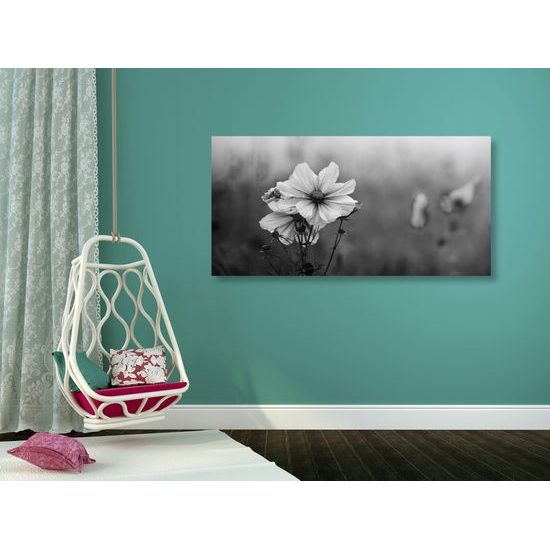 Obraz kvitnúce lúčne kvety v čiernobielom prevedení